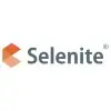 Selenite Business Solutions Private Limited