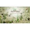 SIRISAMPADA GREENSCAPES LLP