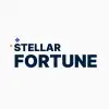 Stellar Fortune Financial Services Private Limited