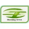 Stunning Seven Global Services Private Limited