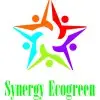 Synergy Ecogreen Infratech Private Limited
