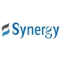 Synergy Global Systems India Private Limited