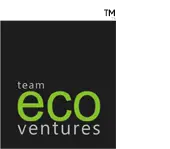 Teameco Ventures India Private Limited