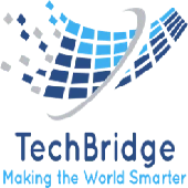Techbridge Consultancy Services Llp