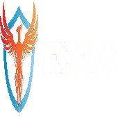 Techfenix Llp