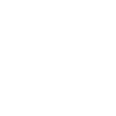 Tech Firefly Foundation
