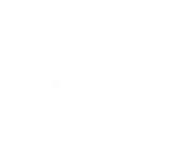 Techfluenz Solutions Private Limited
