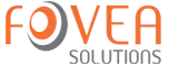 Techfovea It Solutions Private Limited