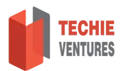 Techieventures Technologies Private Limited