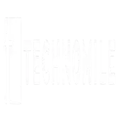 Technomile Software Solutions Private Limited