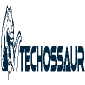 Techossaur Technologies (Opc) Private Limited