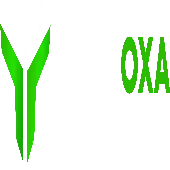 Techoxa Technologies Private Limited