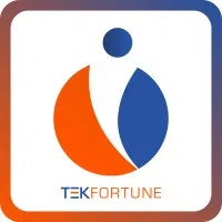 Tekfortune It India Private Limited