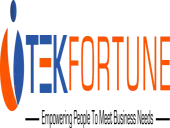 Tekfortune It India Private Limited