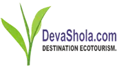 The Devashola Nilgiri Tea Estates Company Limited