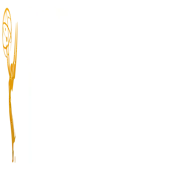 Thinkanalytics Development India Private Limited