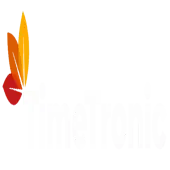 Timetronic Management Consultants Private Limited