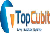 Topcubit It Services Private Limited