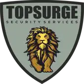 Topsurge Security Services Private Limited