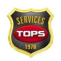 Topsgrup Electronic Systems Limited