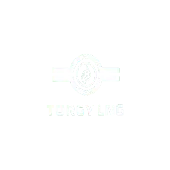 Torgy Mek India Private Limited