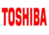 Toshiba Johnson Elevators (India) Private Limited