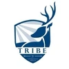 Tribe 21 Consultancy Services Private Limited