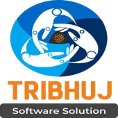 Tribhuj Software Solutions Llp