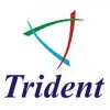 Trident Infosol Private Limited.