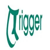 Trigger Security Services Private Limited