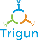 Trigun Technology Private Limited