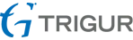 Trigur Electronics India Private Limited