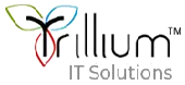 Trillium It Solutions Private Limited