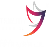 Trimitiy Studios Private Limited