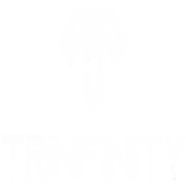 Trinfinity Bpo Private Limited