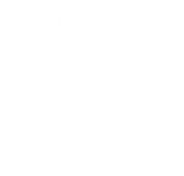 Trinity Mobile App Lab Private Limited