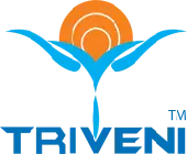 Triveni Global Private Limited