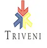 Triveni Macfin Limited