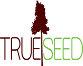 Trueseed Investment Consultants Private Limited