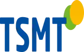 Tsmt Consulting Private Limited