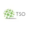 Tso Consultants Private Limited