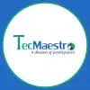 Tecmaestro It Solutions Private Limited
