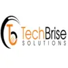 Techbrise Solutions Private Limited