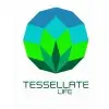 Tessellate Life Private Limited