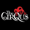 Cirqus Arts Private Limited image