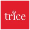 Trice Systems Private Limited