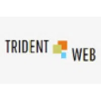 Trident Web Infoservices Private Limited