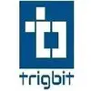 Trigbit Technologies Private Limited