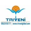 Triveni Global Private Limited