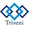 Triveni Polytech Private Limited